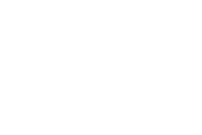 Falcon